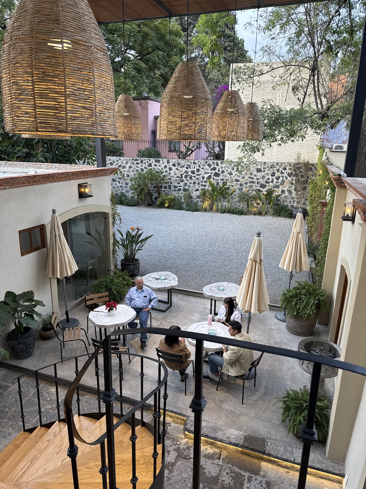 Orchid House Coyoacan gallery 7