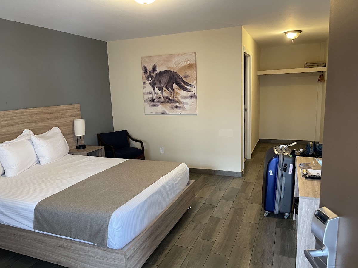 Hotel Dunas gallery 9