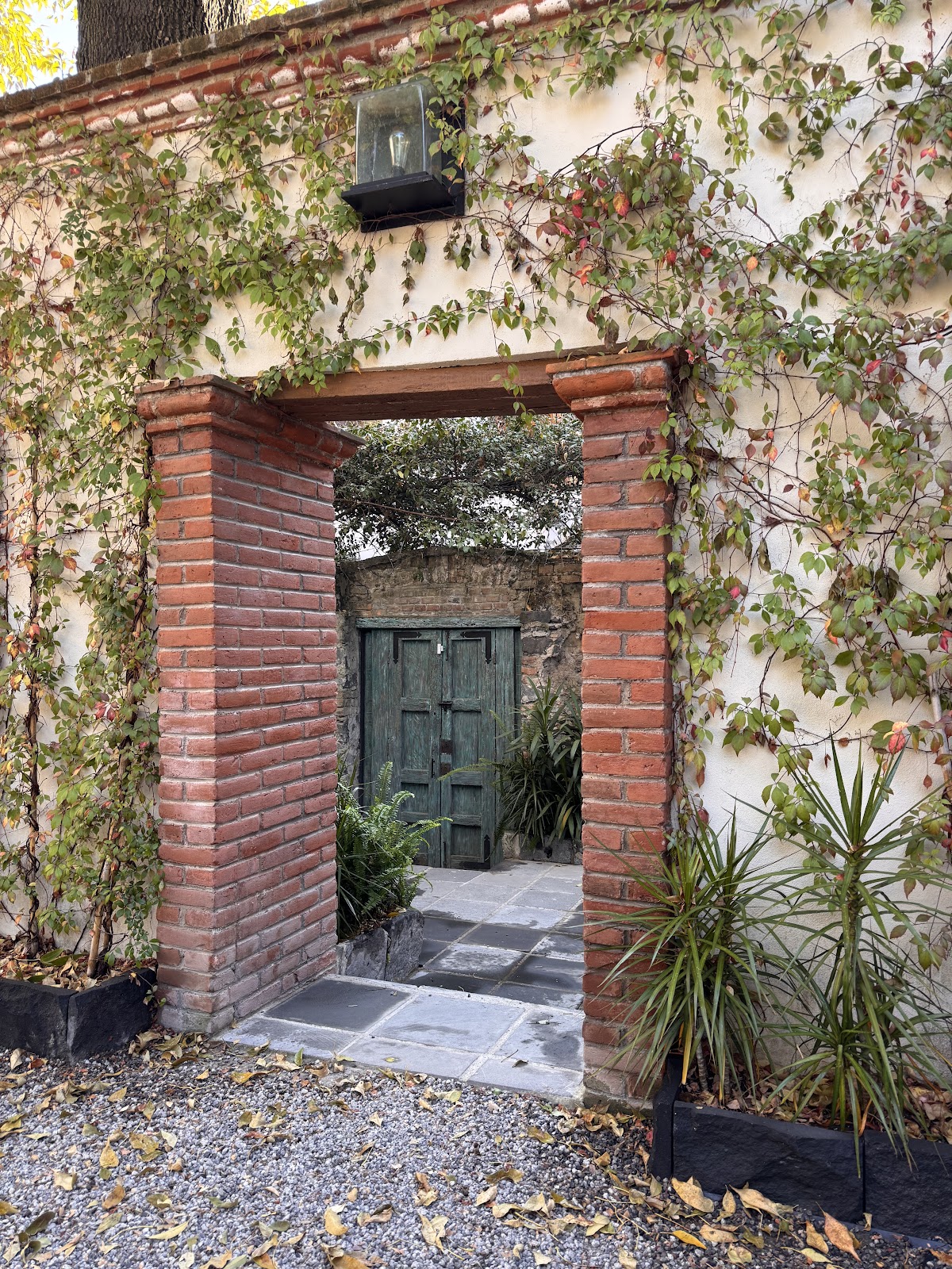 Orchid House Coyoacan gallery 10
