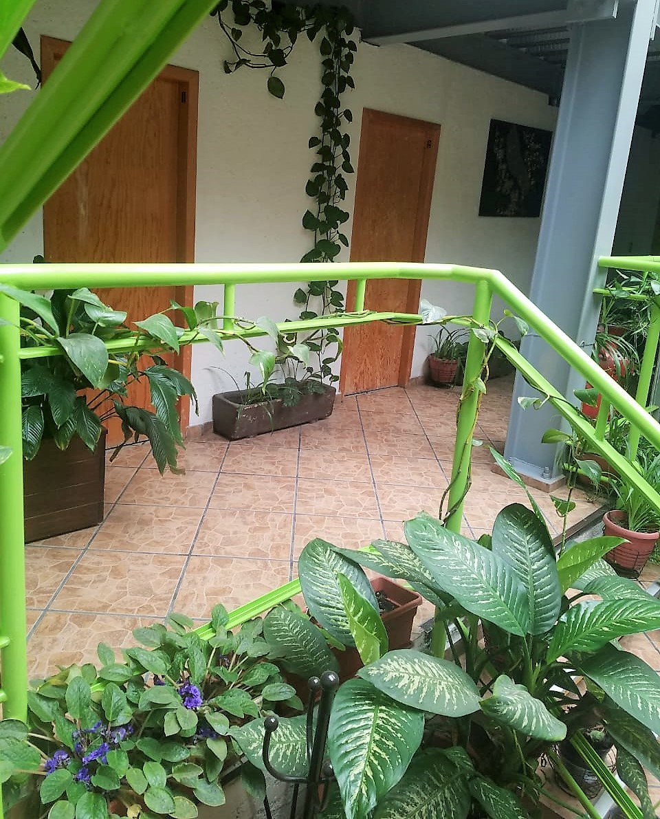 Texturias SanAngel Home cover