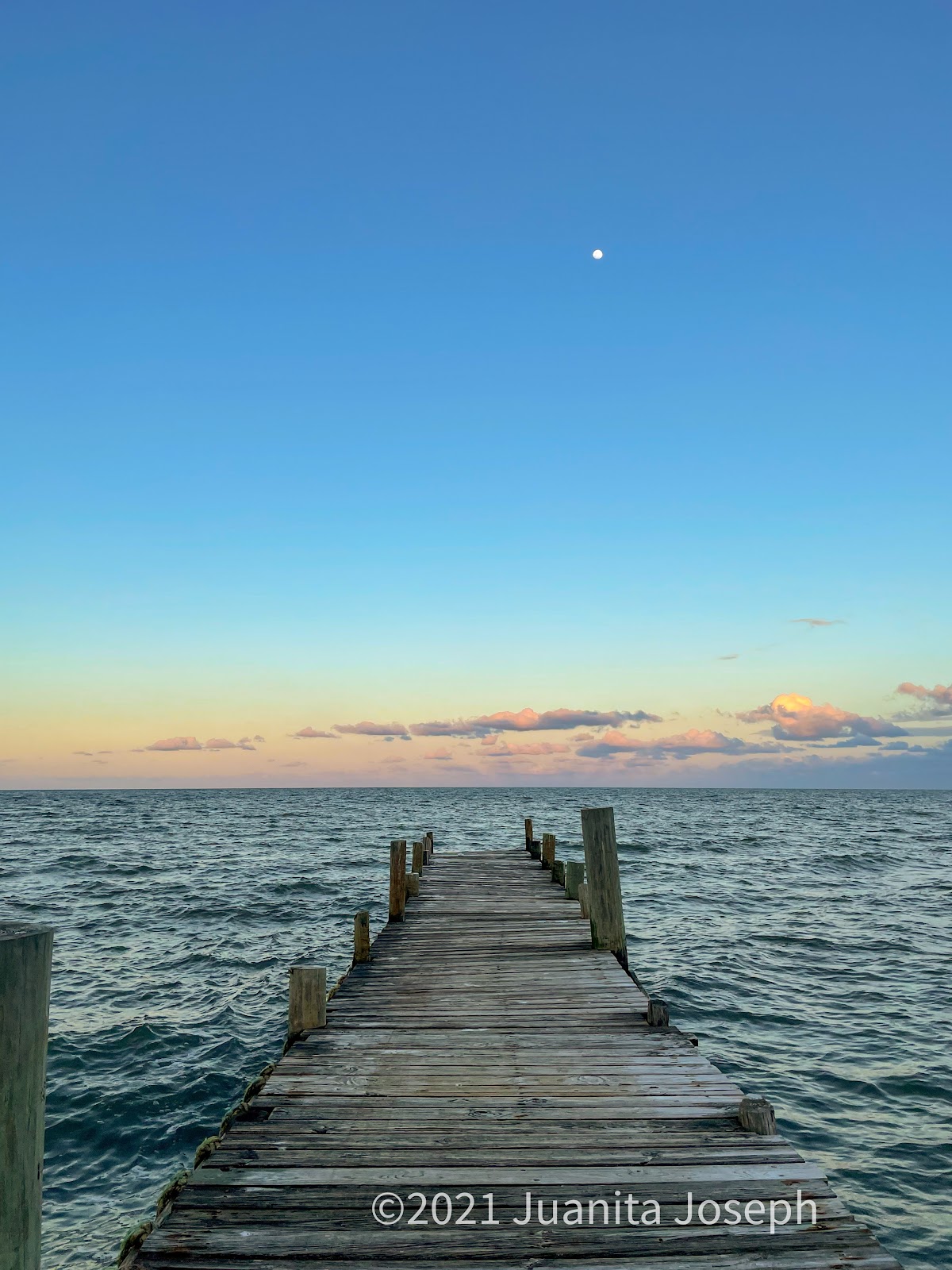 Pelican Beach Resort - Dangriga gallery 7