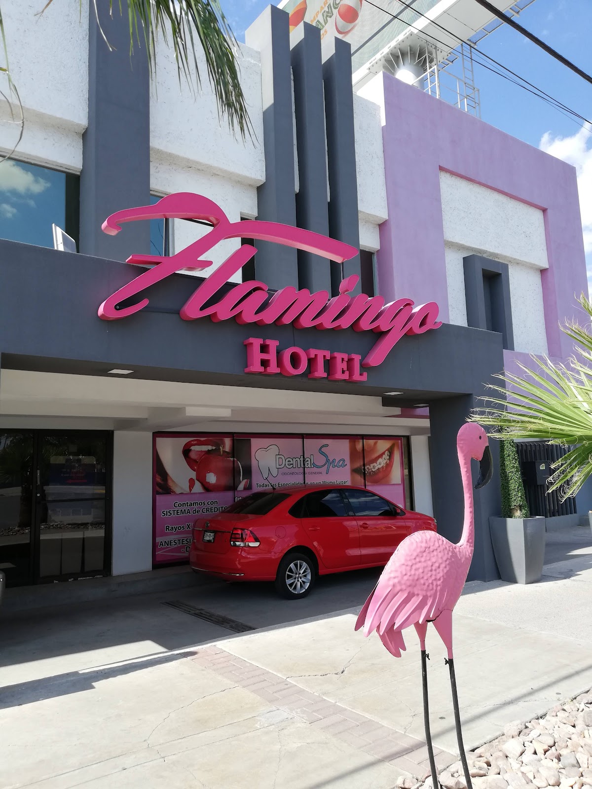 Hotel Flamingo - Hotel Cd Juárez gallery 6