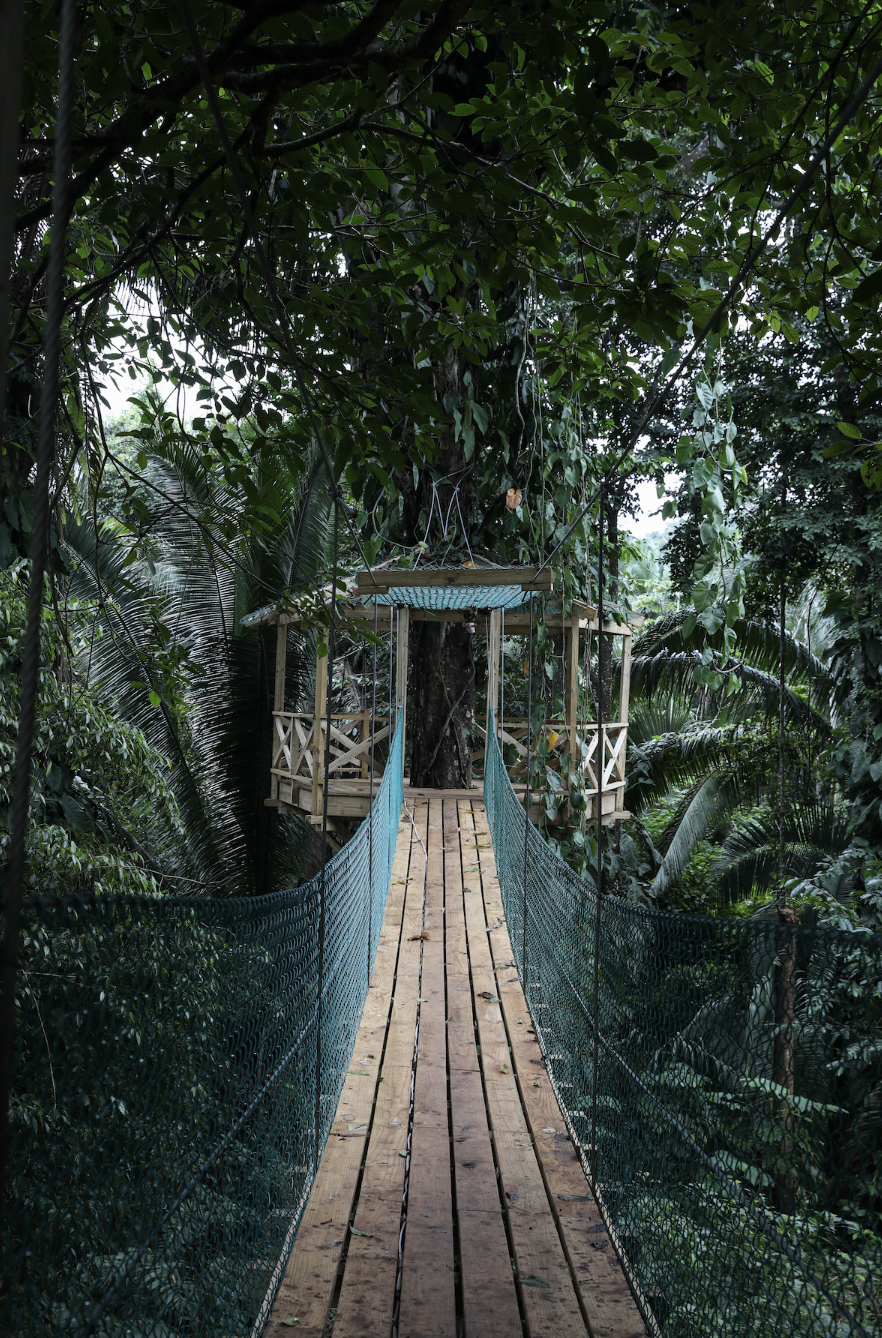 Jade Jungle Resort gallery 4