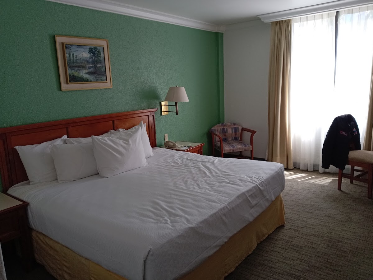 Hotel María Cristina gallery 8