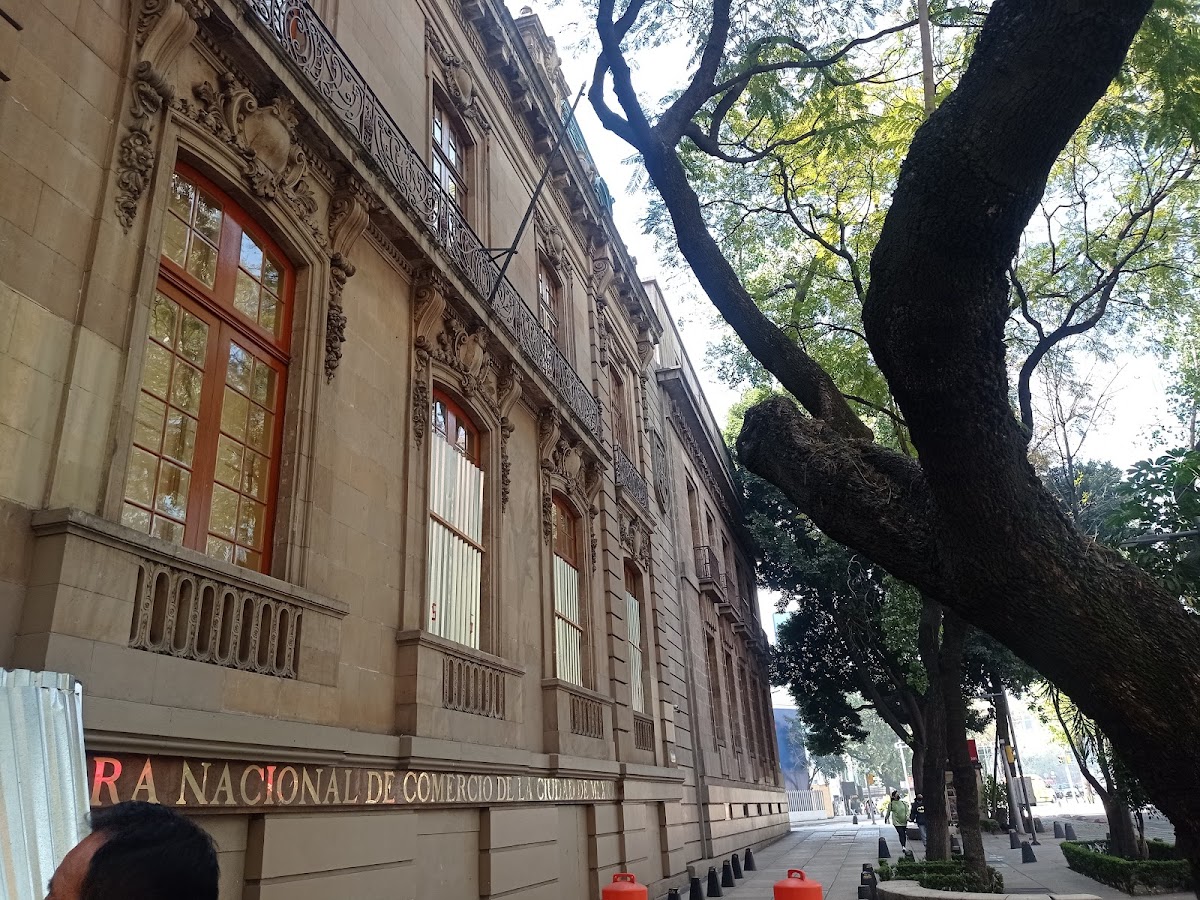 Reforma Avenue gallery 10