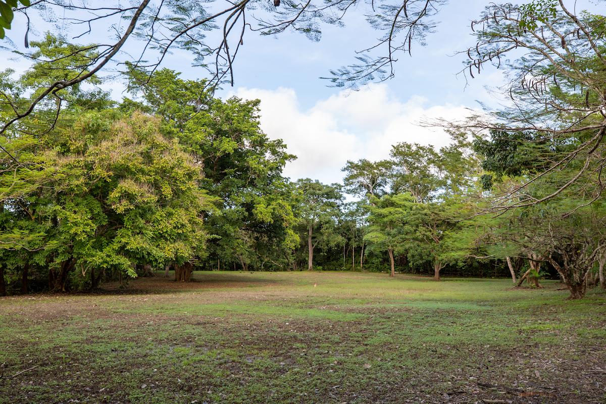 4Realty Belize gallery 7