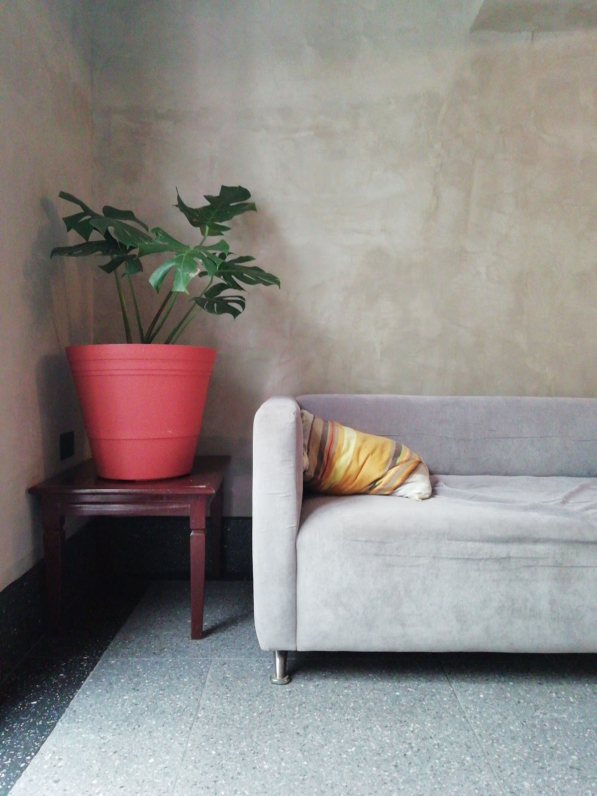Moloch Hostel gallery 5