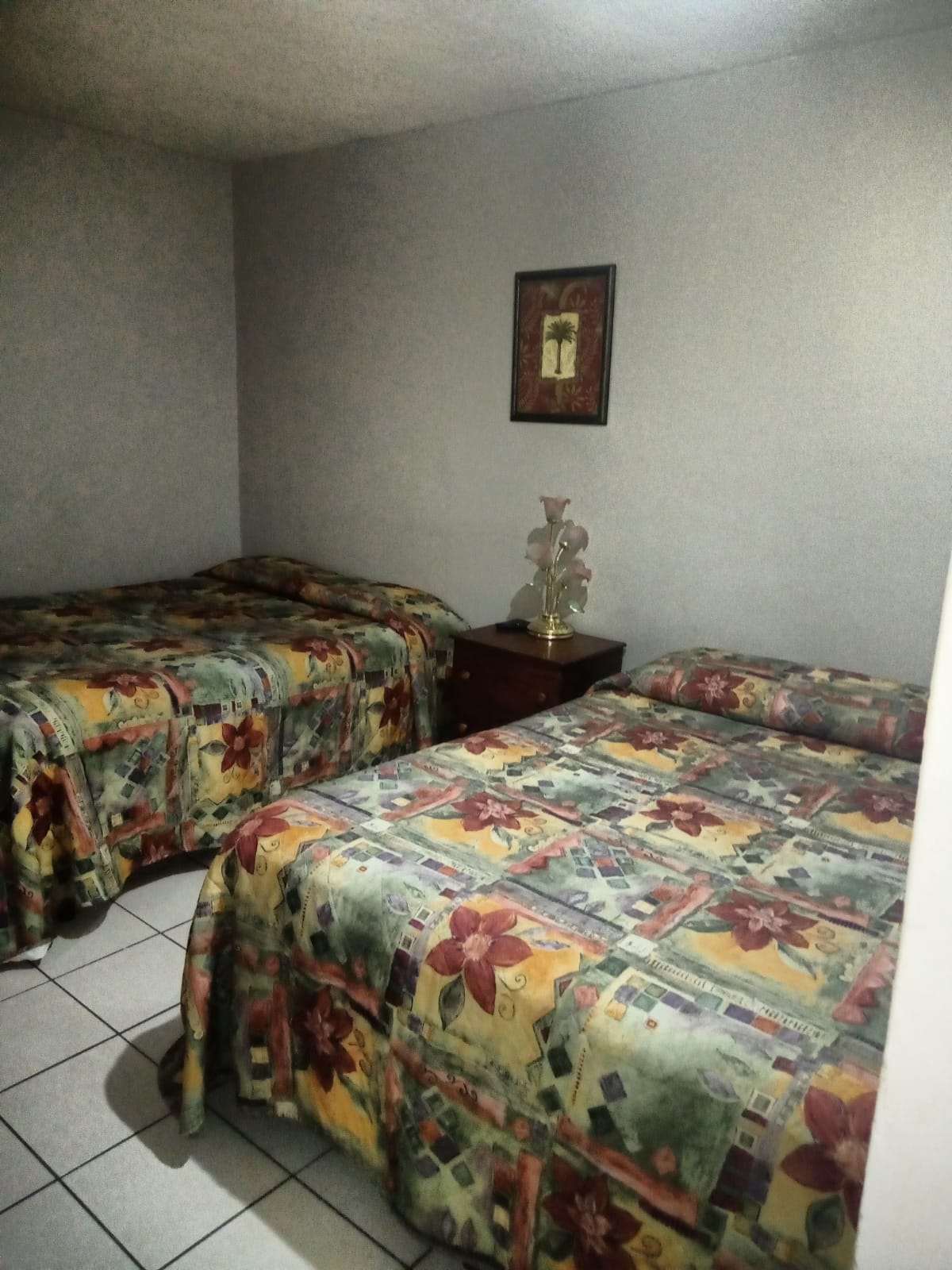 Casa de Huespedes Santa Anita gallery 2