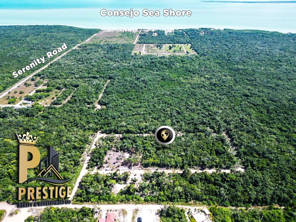 Prestige Realty & Development Ltd gallery 6