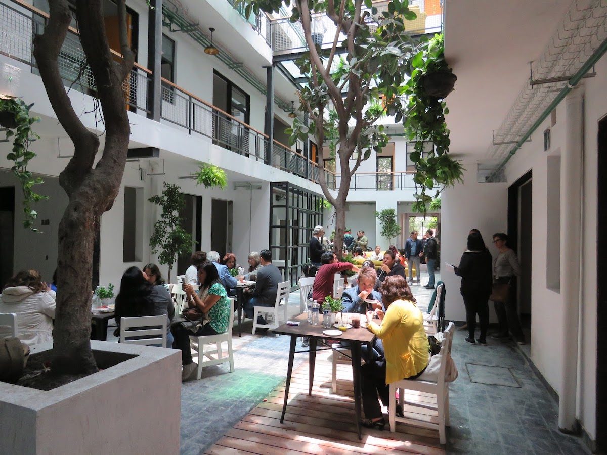 Buenavista 5 gallery 7