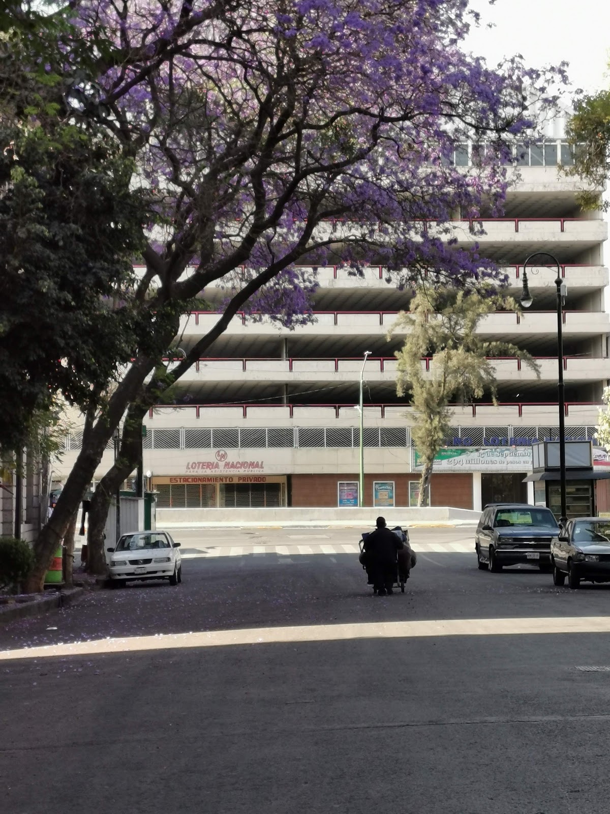 Hotel Managua gallery 8