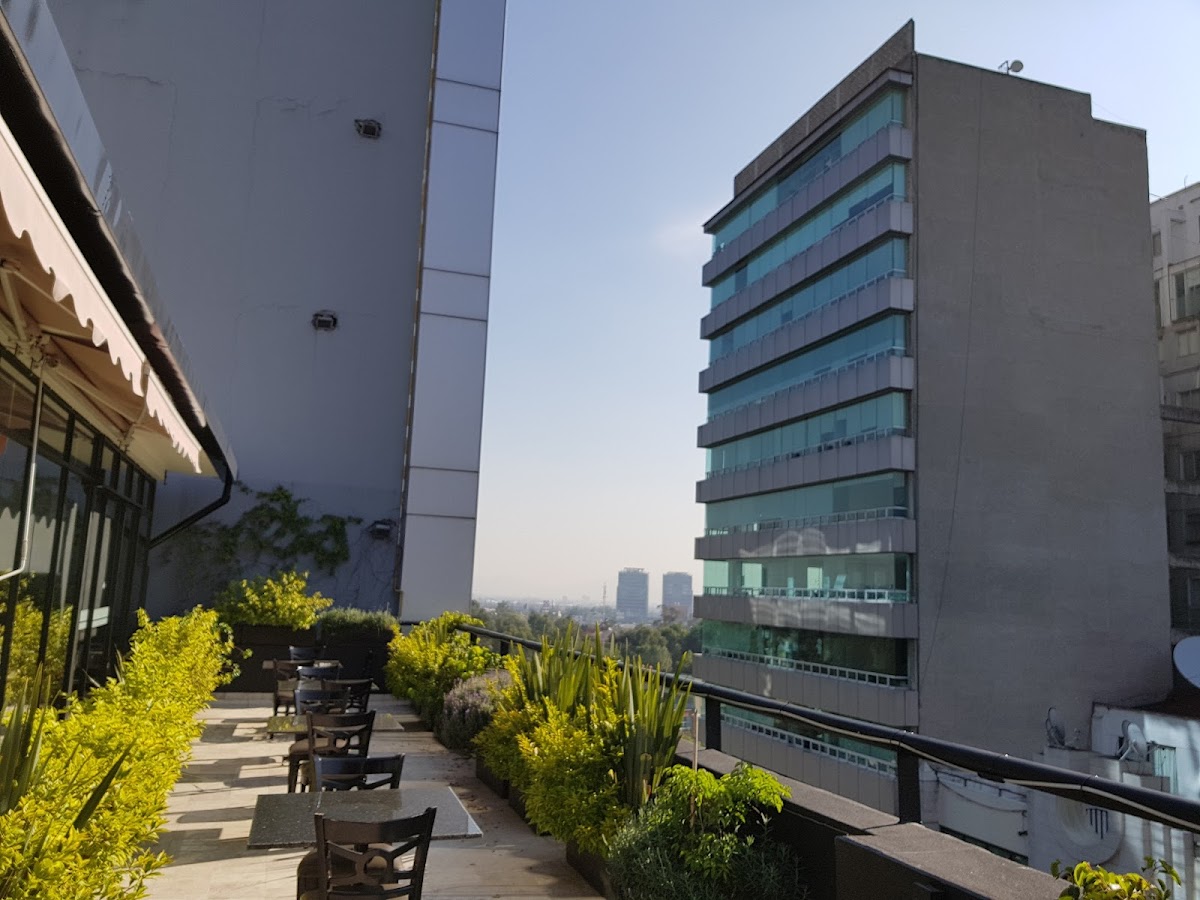Hotel Alteza Polanco gallery 5