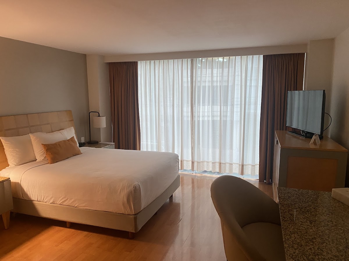 Hotel Alteza Polanco gallery 7