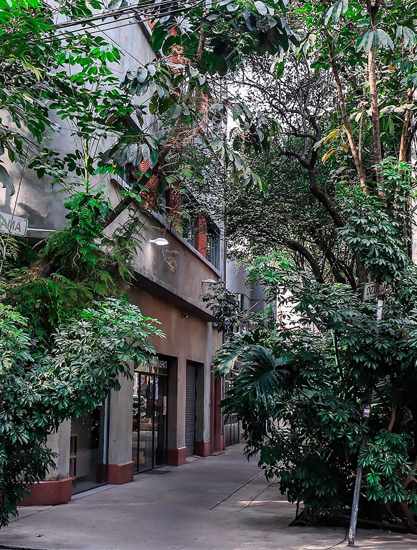 Hotel CondesaDF gallery 15