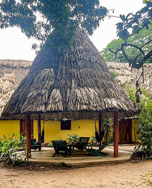 Crystal Paradise Resort gallery 11