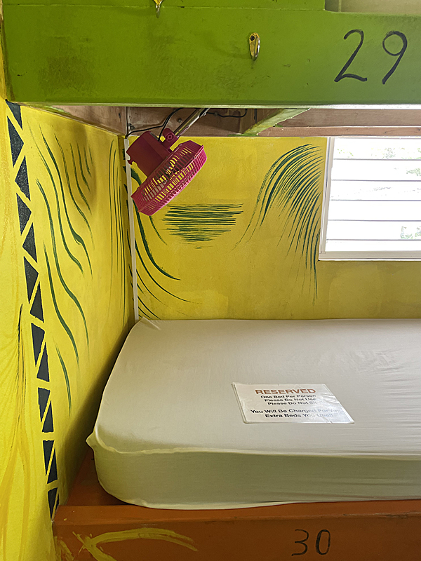 Travellers Palm Backpacker Hostel gallery 15