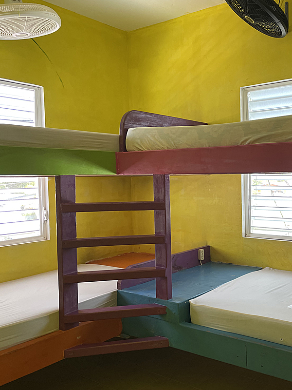 Travellers Palm Backpacker Hostel gallery 14