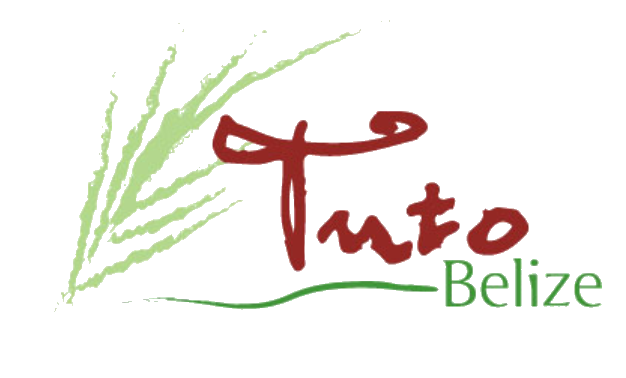 Tuto logo