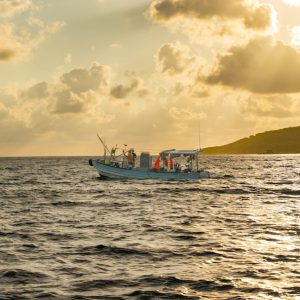 boat cruise for fishing — photo by Andrés Beltrán Espinosa on Unsplash