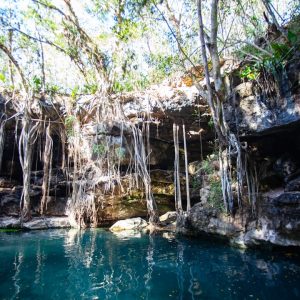 cenote experience — photo by Alfonso Betancourt on Unsplash