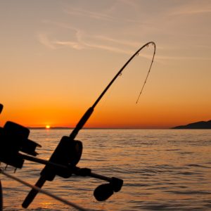 fishing — photo by James Wheeler on Unsplash