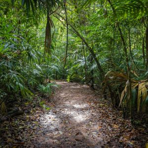 jungle tour & aquatwister — photo by Isaac Quesada on Unsplash