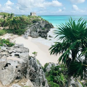 tulum & dolphin interaction — photo by Anna Sullivan on Unsplash