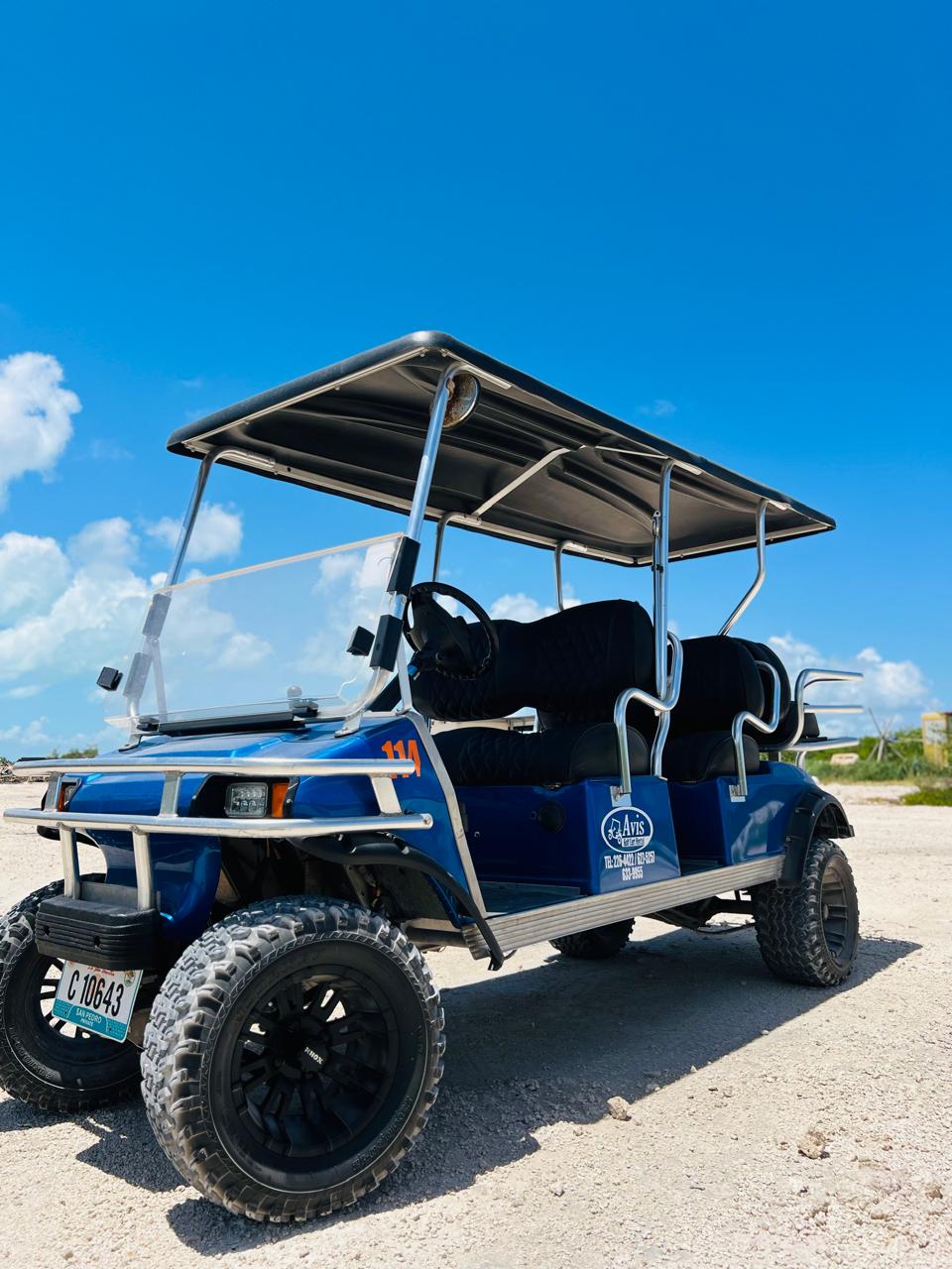 6-Passenger Golf Cart