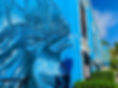 Hotel Gallo Azul gallery 14