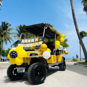 6-Passenger Golf Cart