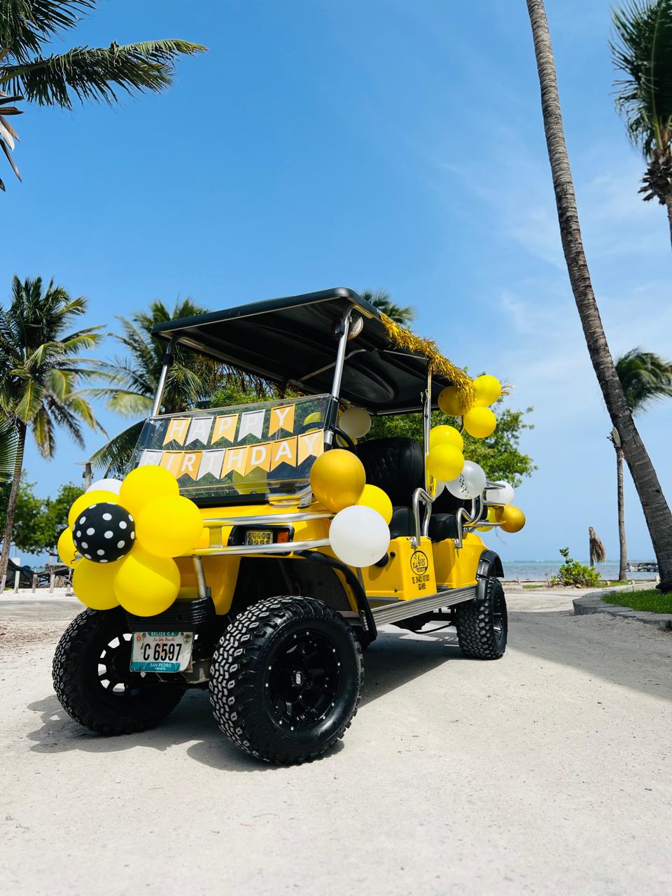 6-Passenger Golf Cart