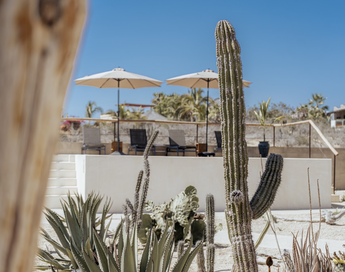 Baja Temple gallery 1