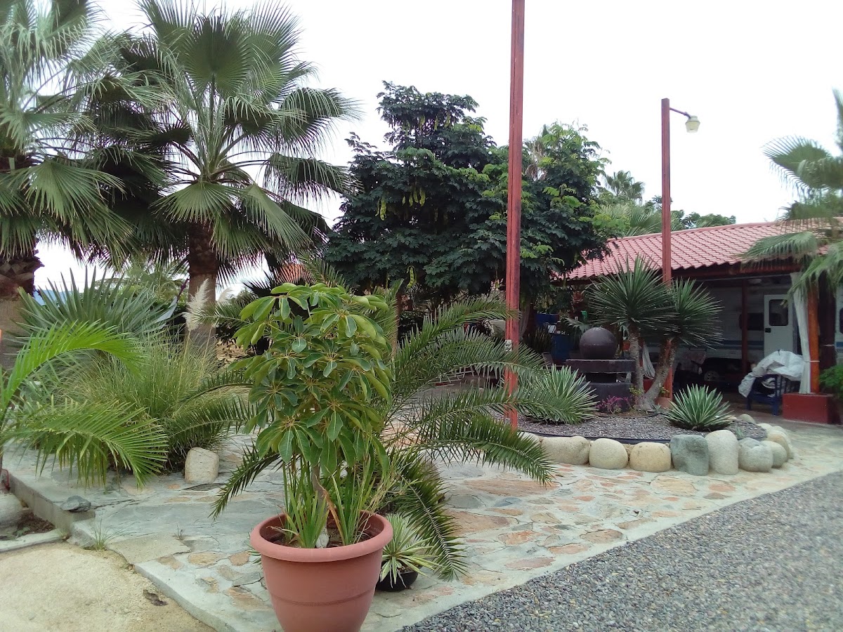 Casa Rancho gallery 5