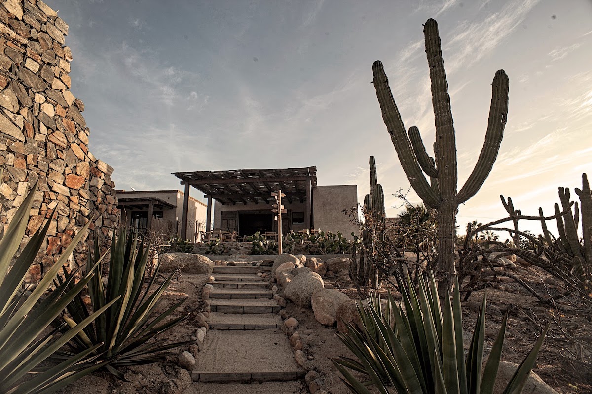 Desierto Azul gallery 5