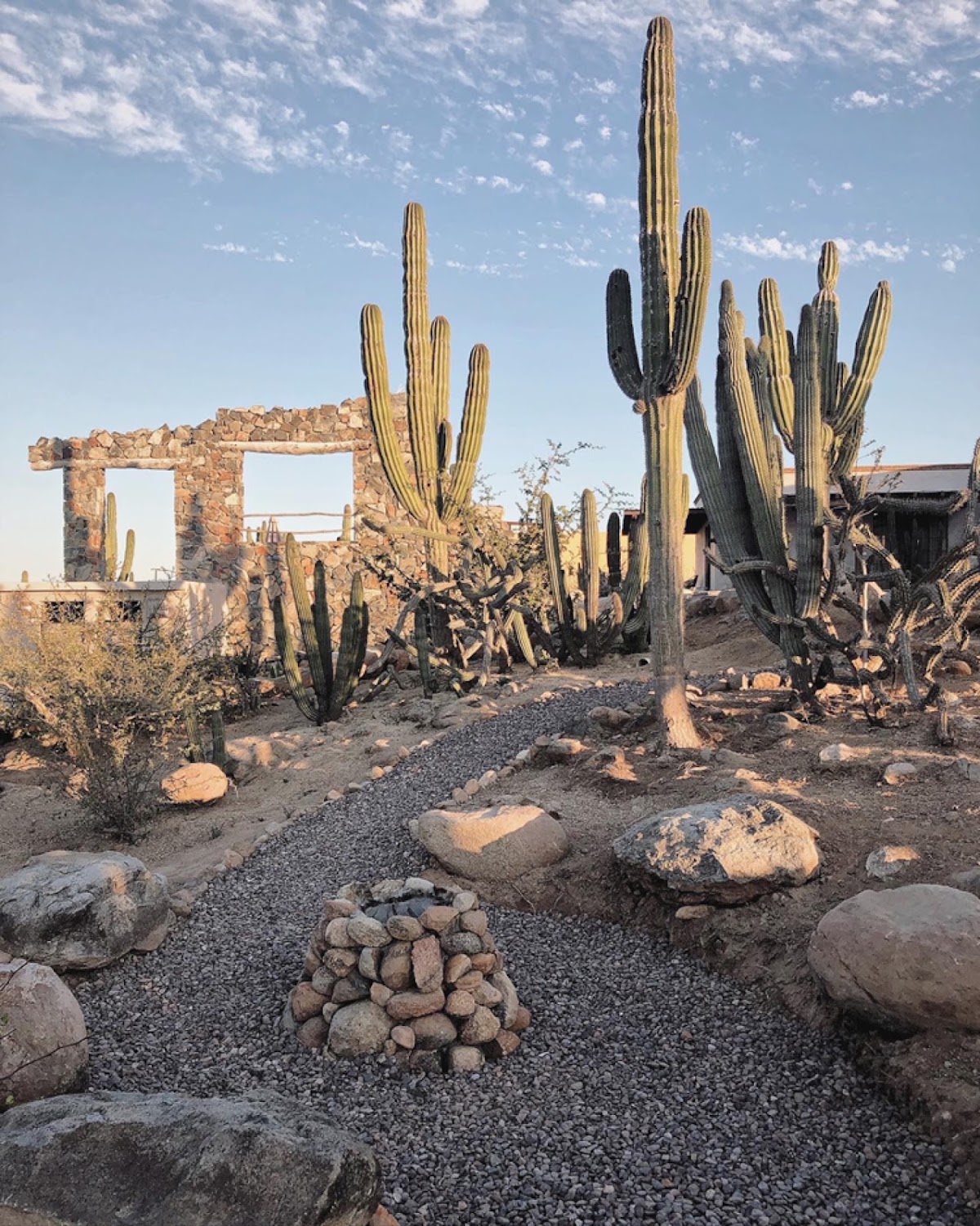 Desierto Azul gallery 7