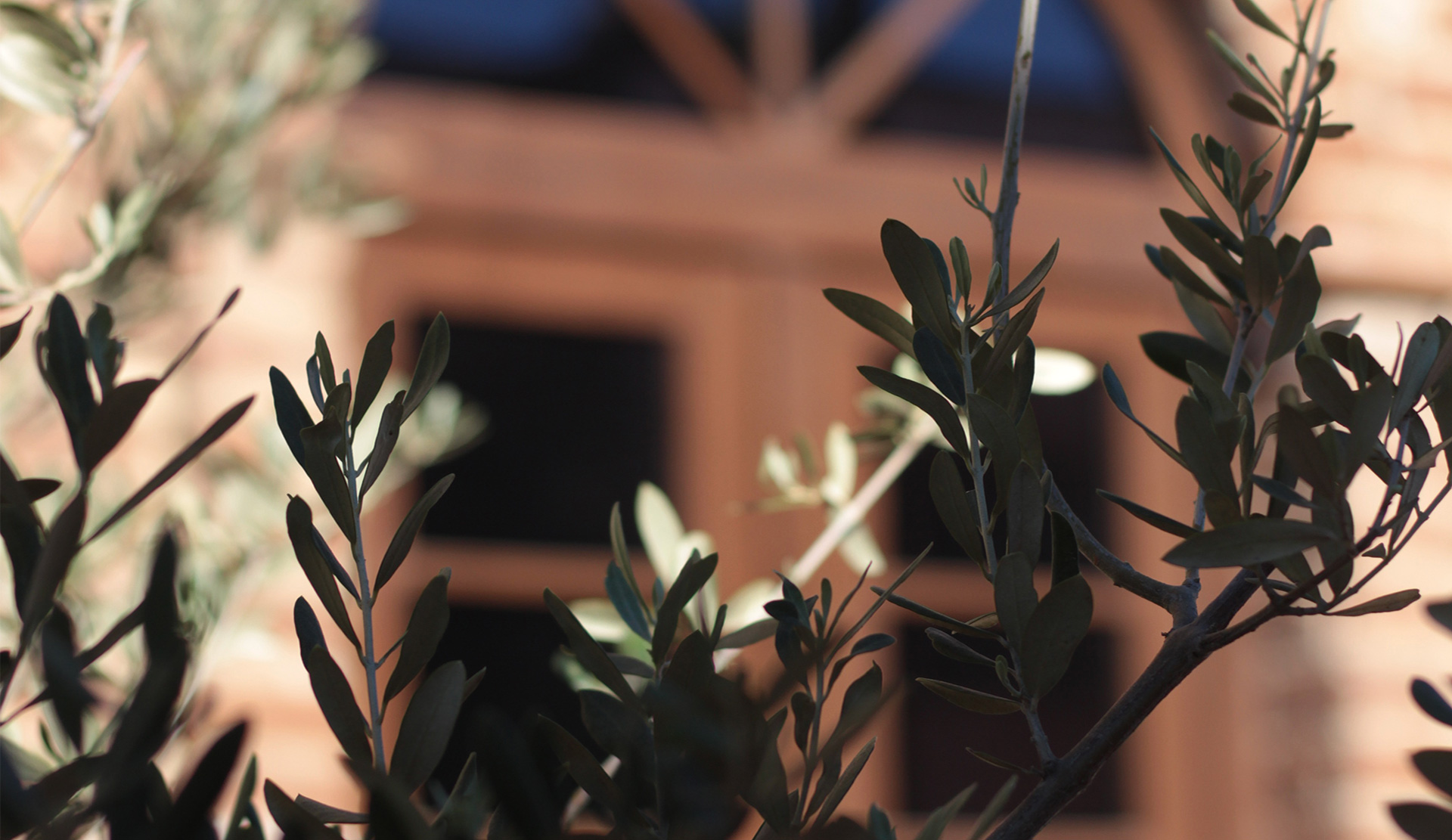 Todos Santos Boutique Hotel gallery 11