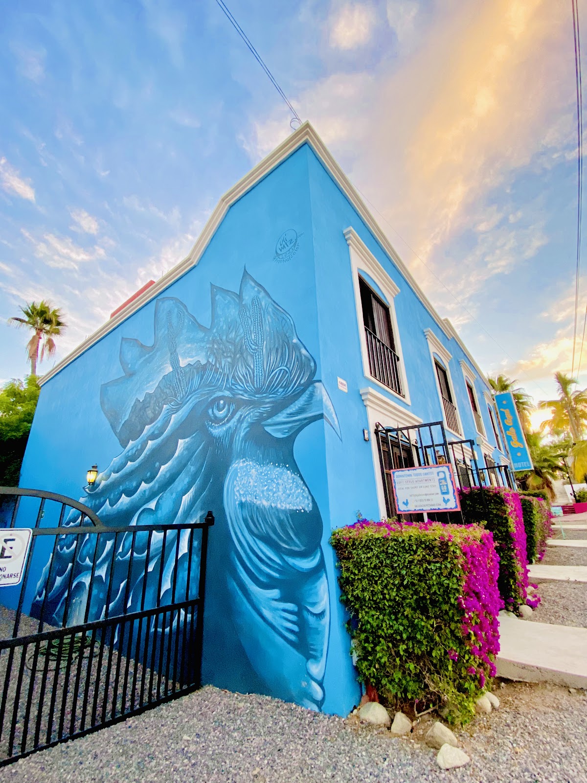 Hotel Gallo Azul gallery 1
