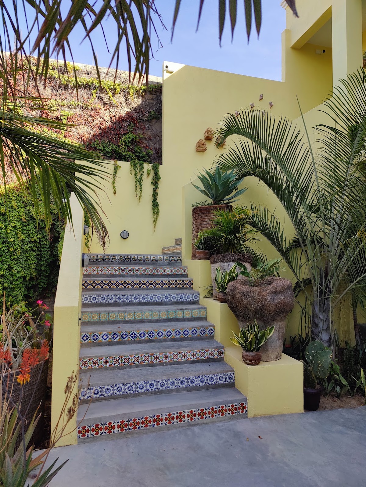 Hotel Gallo Azul gallery 10