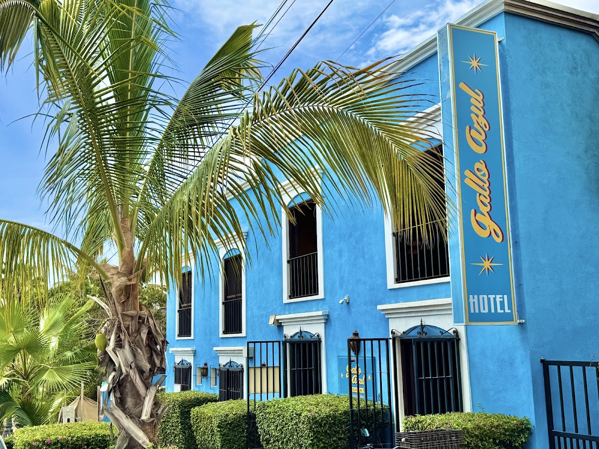 Hotel Gallo Azul gallery 5