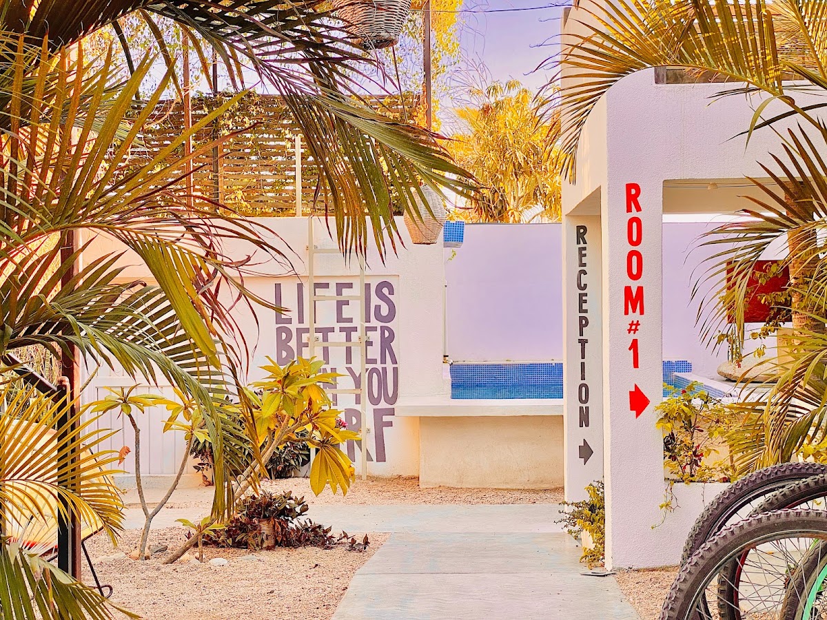 Hotel Perro Surfero Todos Santos gallery 1