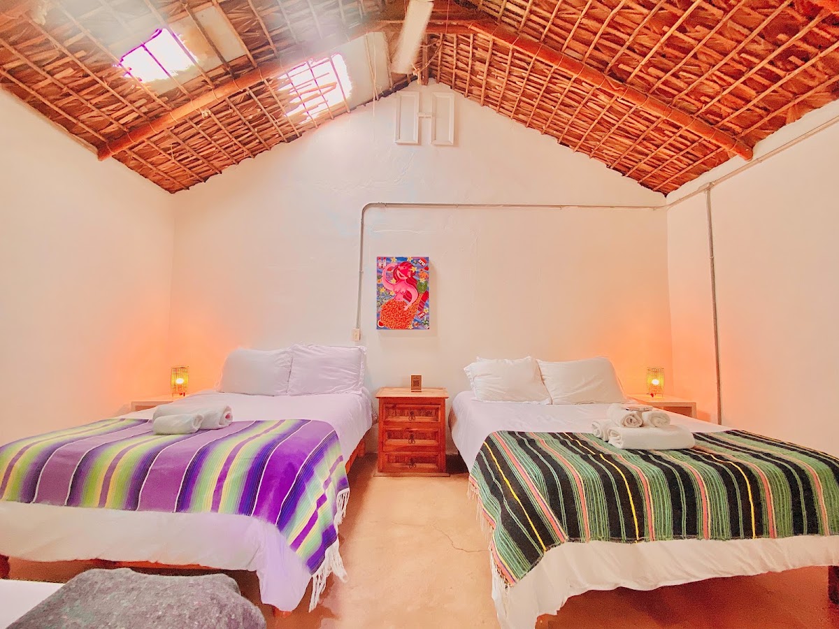 Hotel Perro Surfero Todos Santos gallery 10