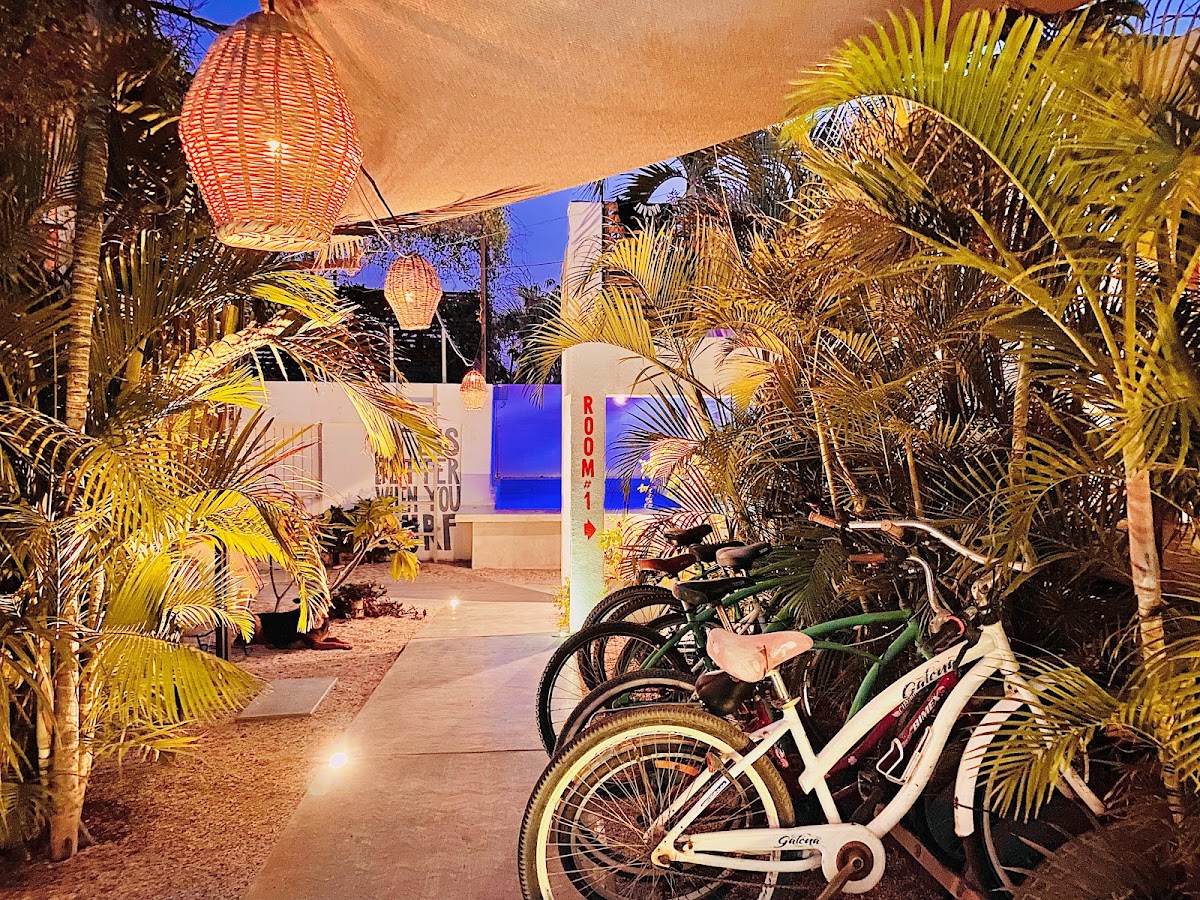 Hotel Perro Surfero Todos Santos gallery 6