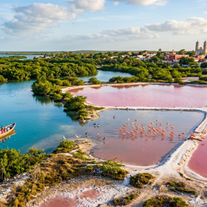 Río Lagartos & Pink Lakes