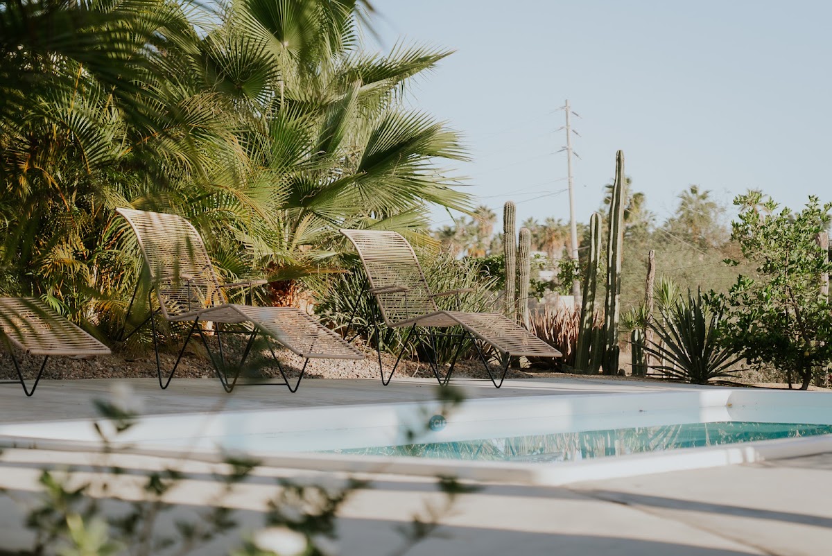 Swell Todos Santos gallery 3