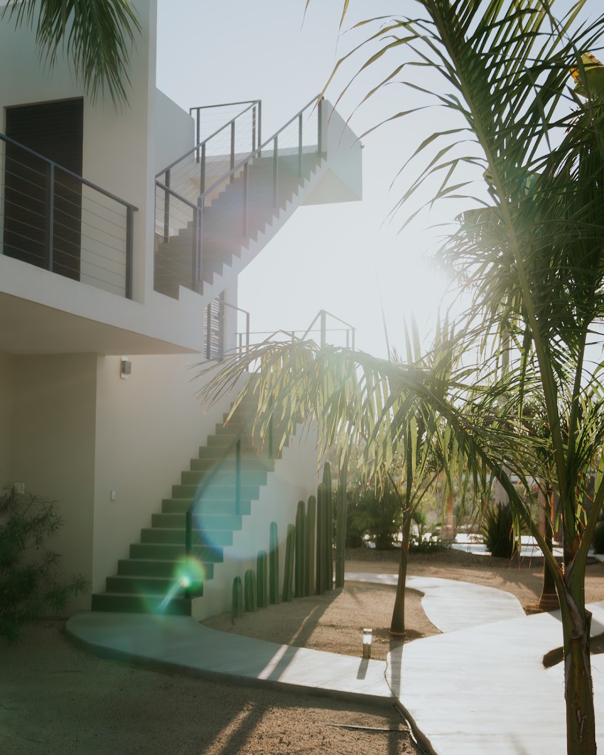 Swell Todos Santos gallery 7