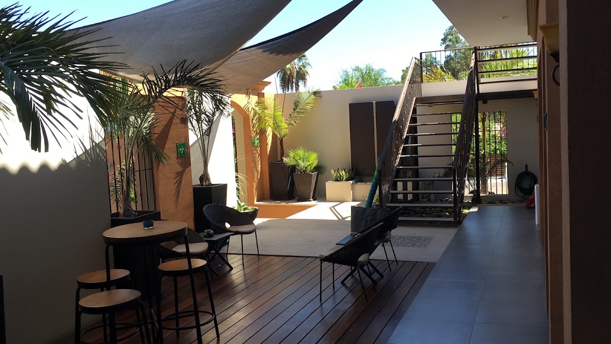 The Vibe B&B Urban Living In Todos Santos gallery 3