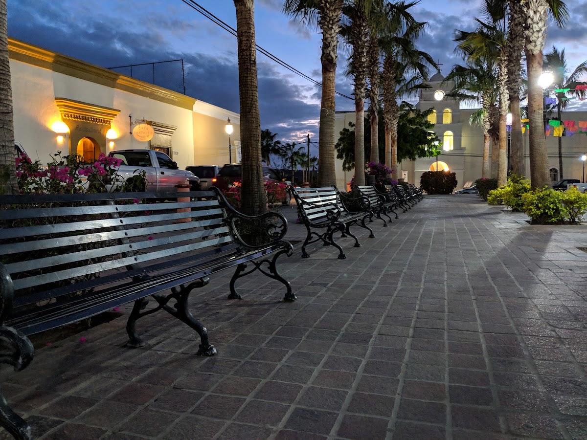 The Vibe B&B Urban Living In Todos Santos gallery 4