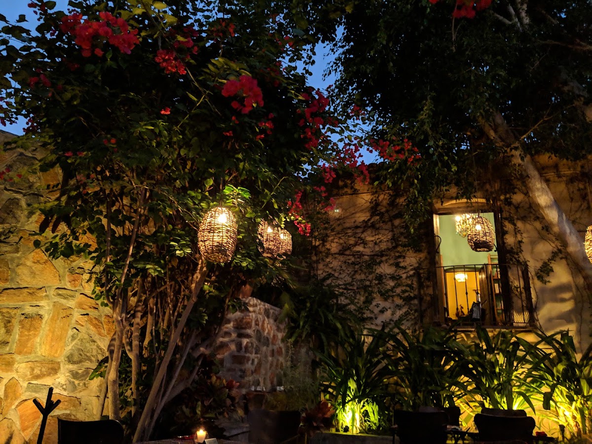 The Vibe B&B Urban Living In Todos Santos gallery 5