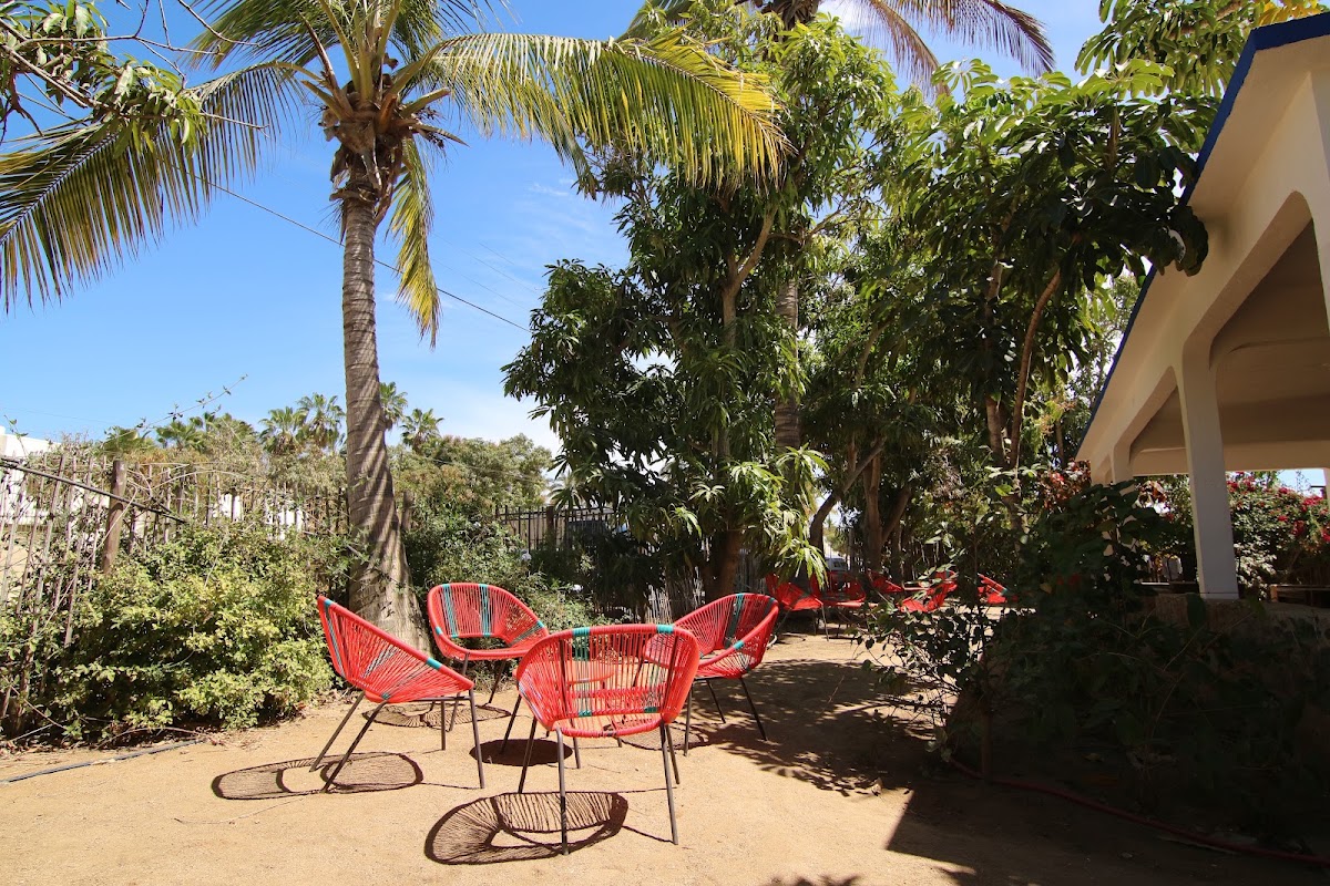 Todos Santos Hostel gallery 4