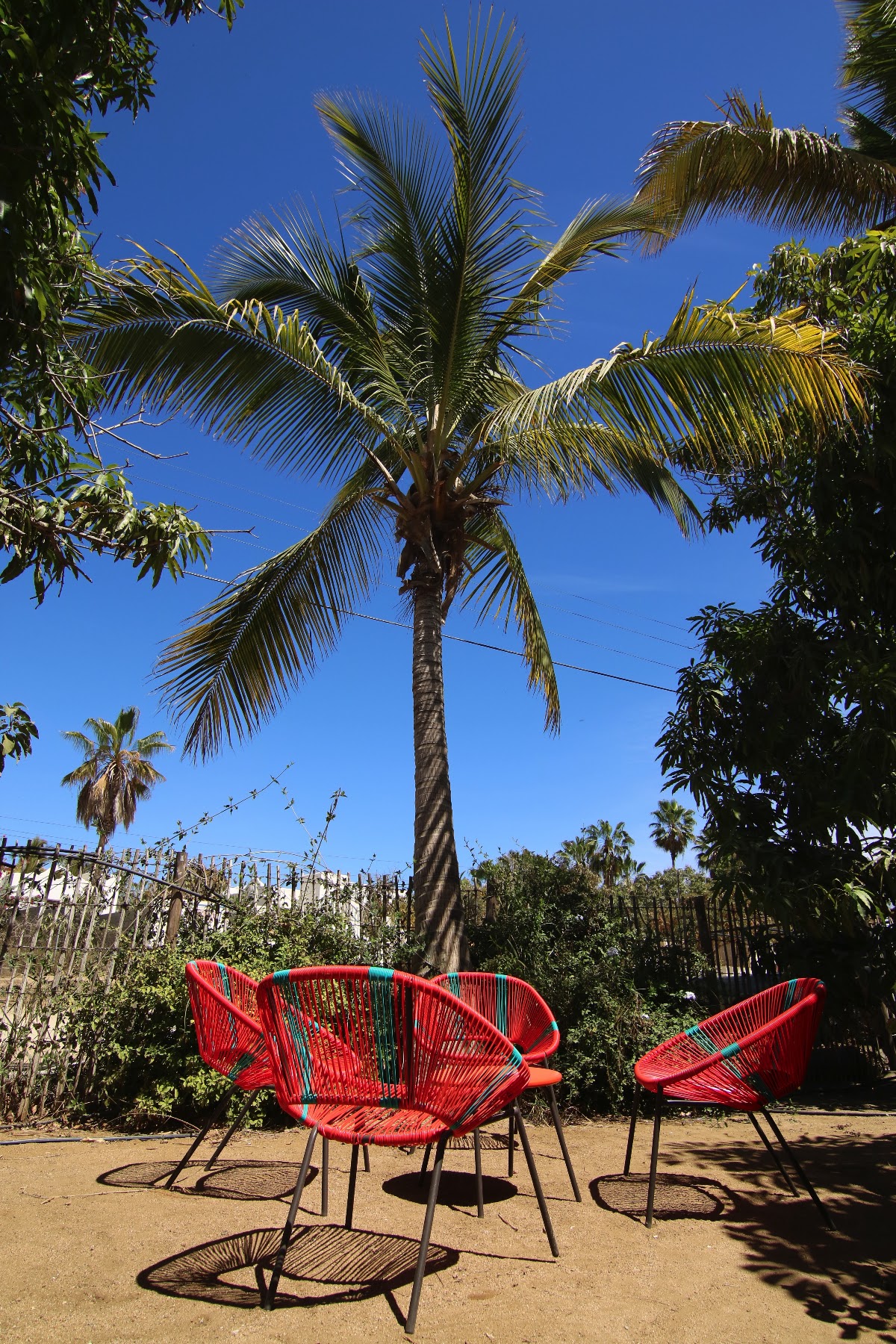 Todos Santos Hostel gallery 7